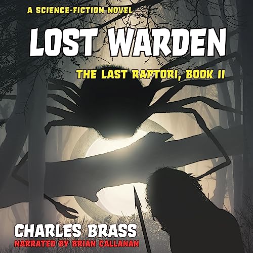 Cover of Lost Warden