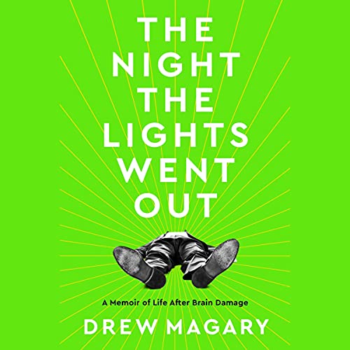 Cover of The Night the Lights Went Out