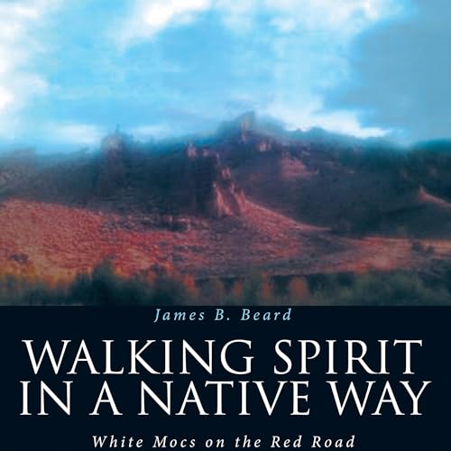 Cover of Walking Spirit in a Native Way