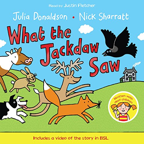 Cover of What the Jackdaw Saw