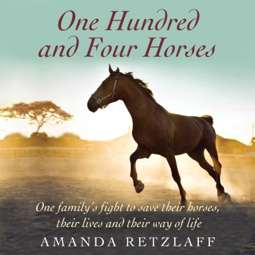Cover of One Hundred And Four Horses