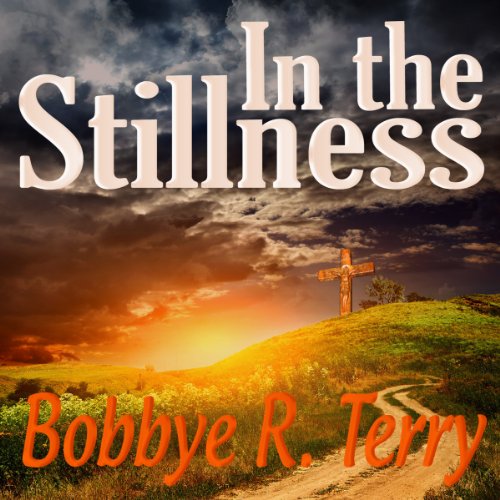 Cover of In the Stillness