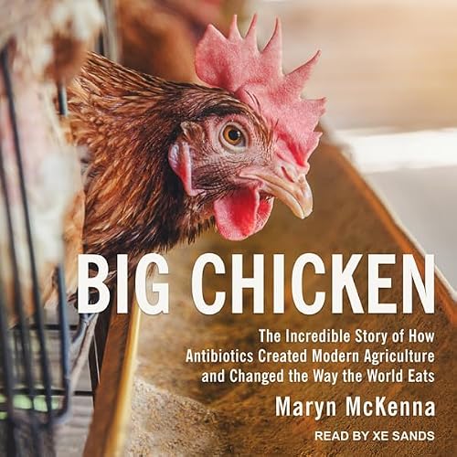 Cover of Big Chicken