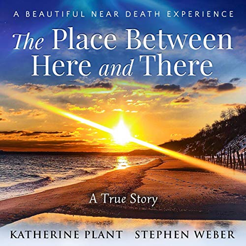 Cover of The Place Between Here and There