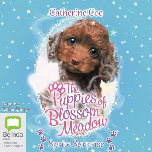 Cover of Sprite Surprise