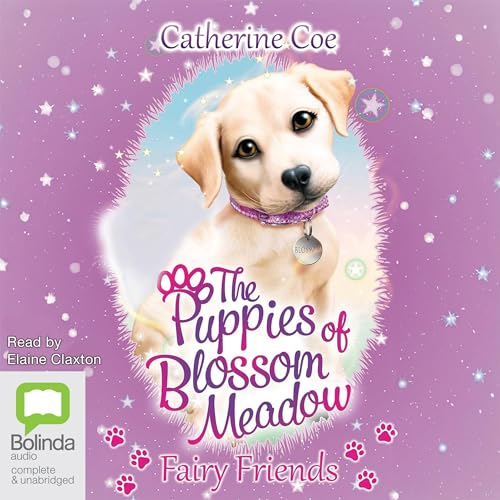 Cover of Fairy Friends