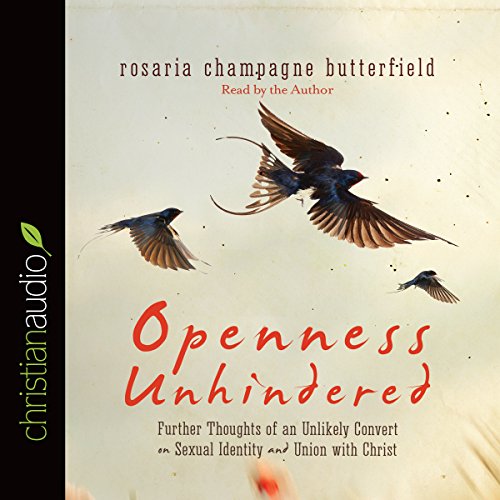 Cover of Openness Unhindered