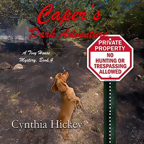 Cover of Caper's Dark Adventure