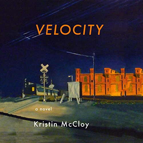 Cover of Velocity