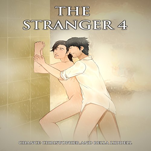 Cover of The Stranger 4