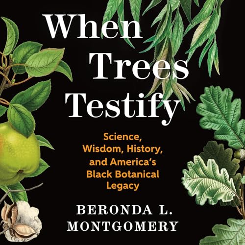Cover of When Trees Testify
