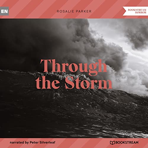 Cover of Through the Storm