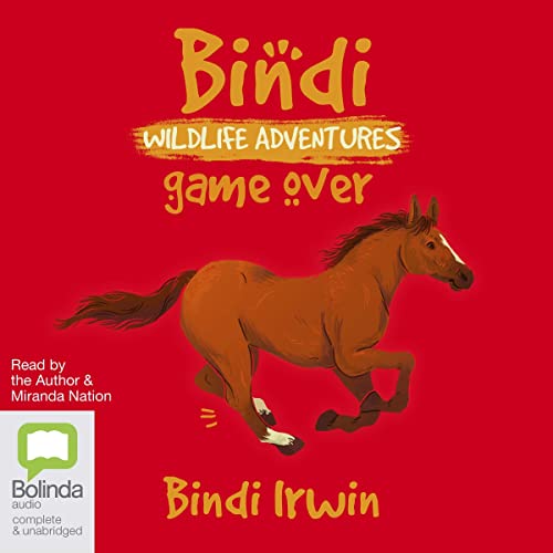 Cover of Game Over