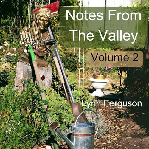 Cover of Notes from the Valley: Volume 2