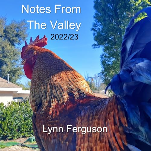 Cover of Notes from the Valley: 2022/23