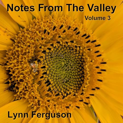 Cover of Notes from the Valley, Volume 3