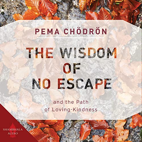 Cover of The Wisdom of No Escape
