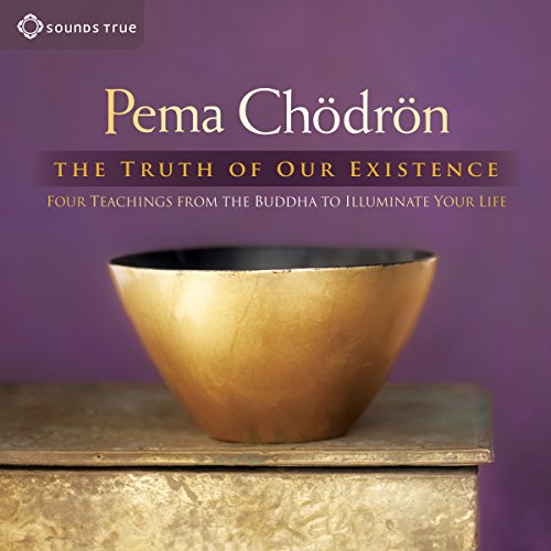 Cover of The Truth of Our Existence