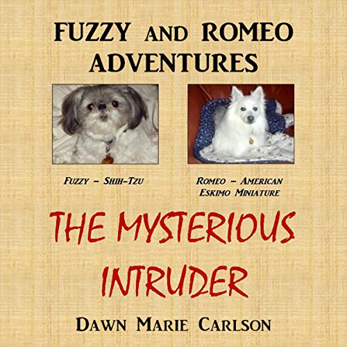 Cover of The Mysterious Intruder