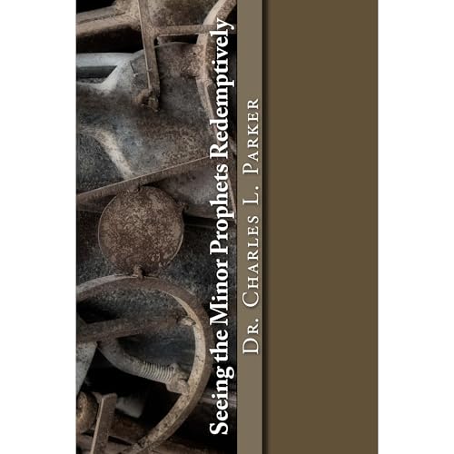 Cover of Seeing the minor Prophets Redemptively