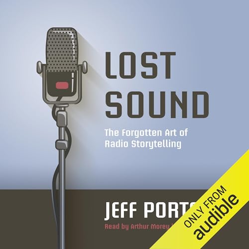 Cover of Lost Sound