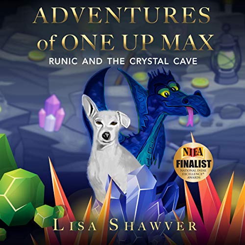 Cover of Adventures of One Up Max