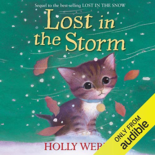 Cover of Lost in the Storm