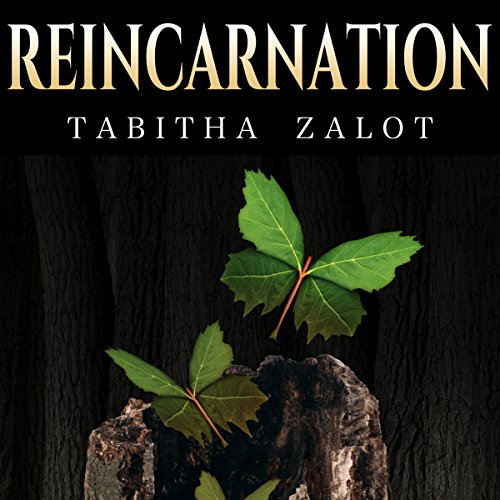 Cover of Reincarnation: Afterlife
