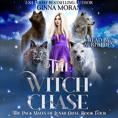 Cover of The Witch Chase