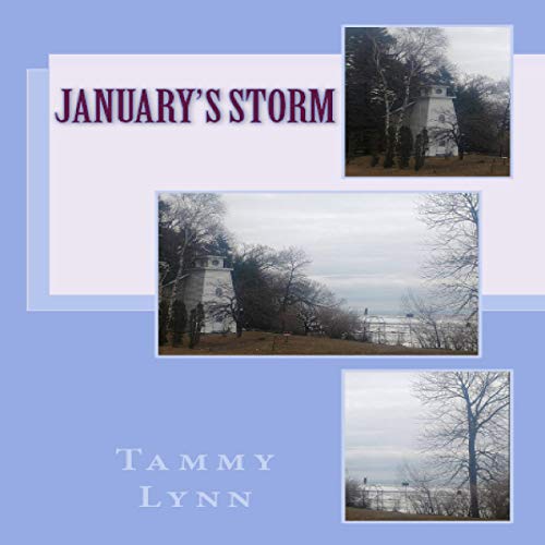 Cover of January's Storm