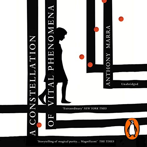 Cover of A Constellation of Vital Phenomena