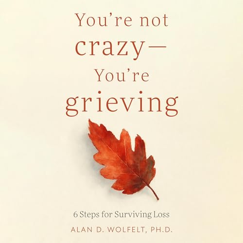 Cover of You’re Not Crazy—You’re Grieving