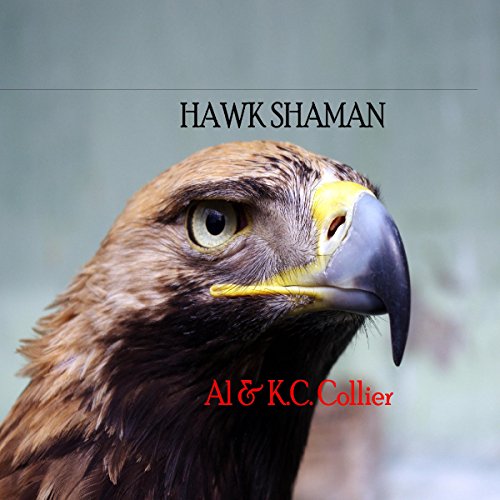 Cover of Hawk Shaman