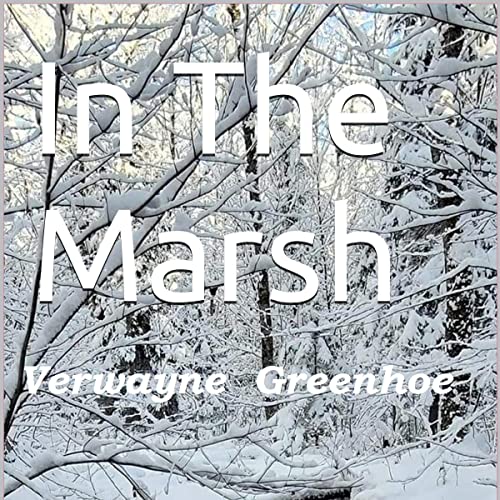 Cover of In the Marsh