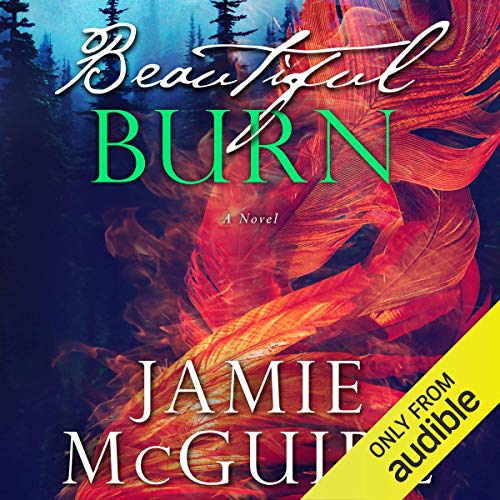Cover of Beautiful Burn