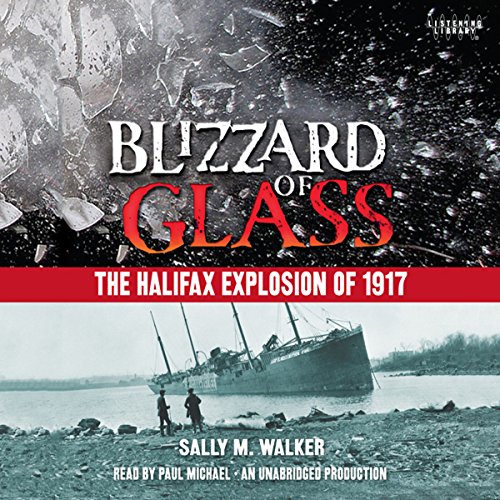 Cover of Blizzard of Glass
