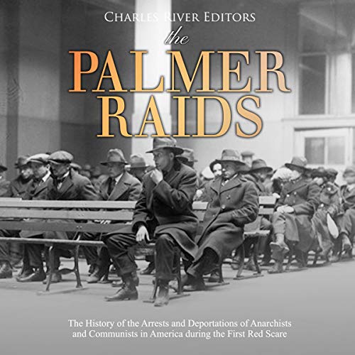 Cover of The Palmer Raids