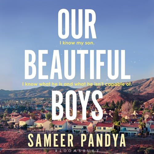 Cover of Our Beautiful Boys