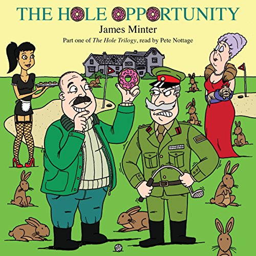 Cover of The Hole Opportunity