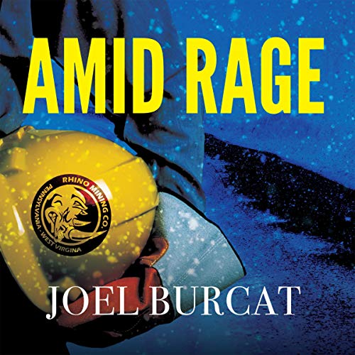 Cover of Amid Rage