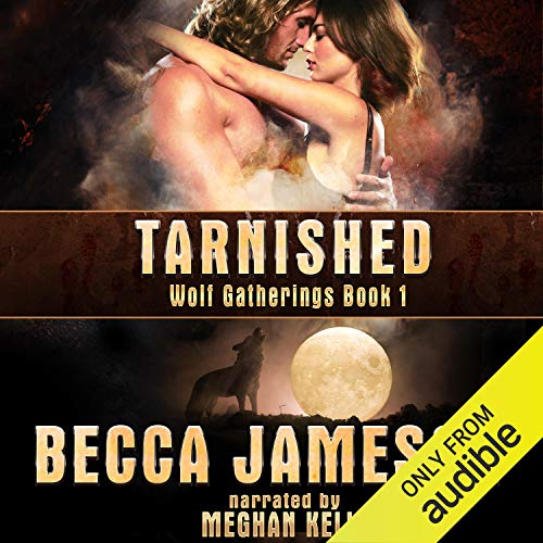 Cover of Tarnished