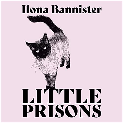 Cover of Little Prisons