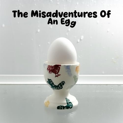 Cover of The Misadventures of an Egg