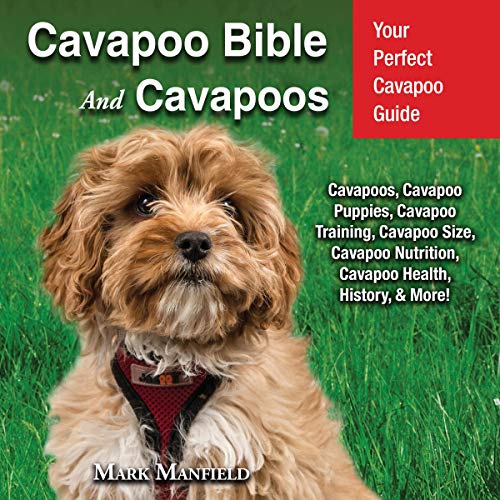 Cover of Cavapoo Bible and Cavapoos