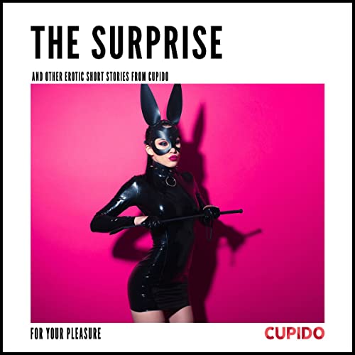Cover of The Surprise - and other erotic short stories from Cupido