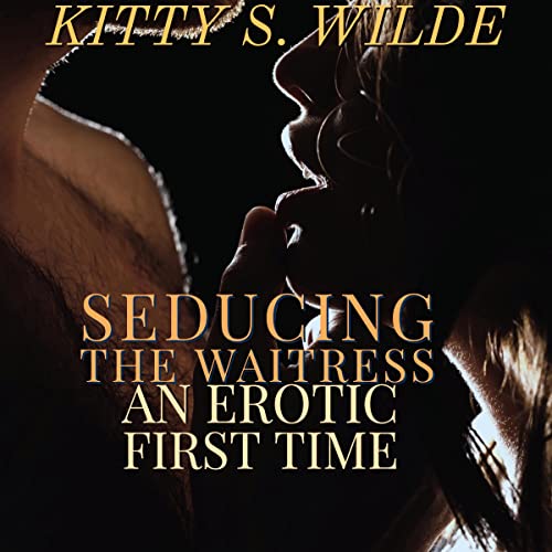 Cover of Seducing the Waitress