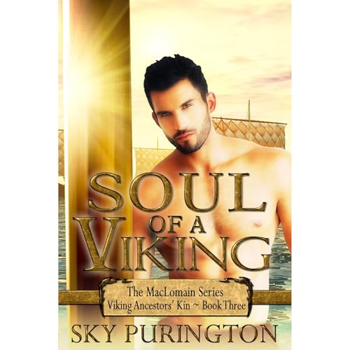 Cover of Soul of a Viking