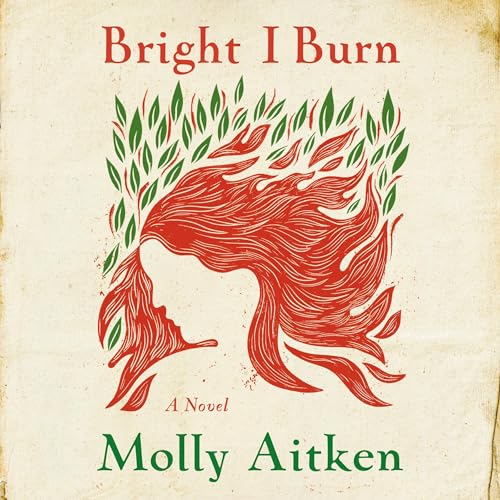 Cover of Bright I Burn