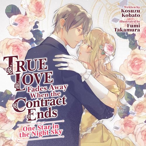 Cover of One Star in the Night Sky (Light Novel)