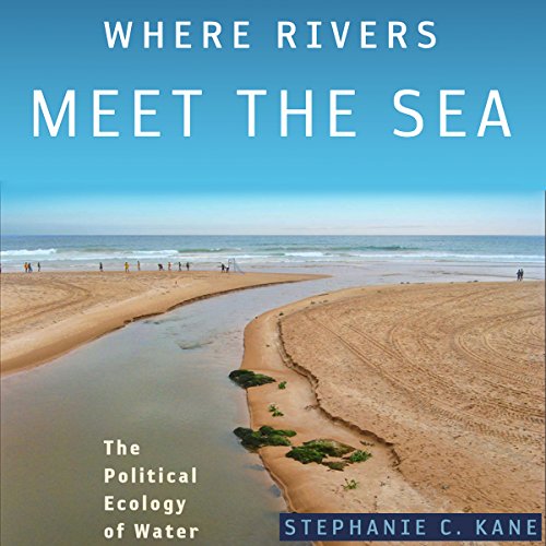 Cover of Where Rivers Meet the Sea